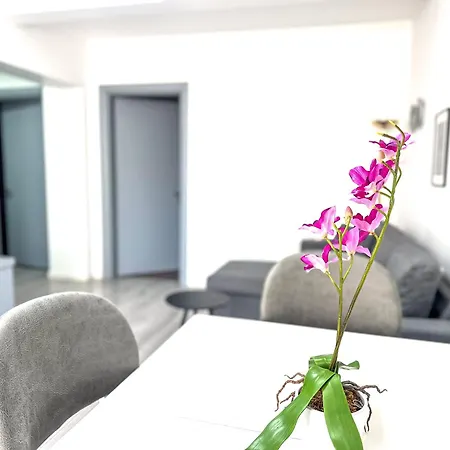 Center 2br 地拉那